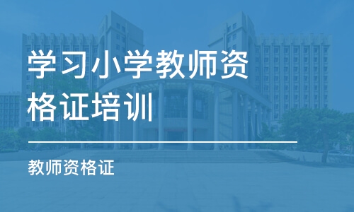 天津学习小学教师资格证培训班