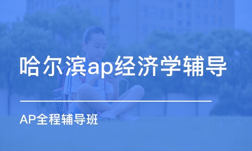 哈尔滨ap经济学辅导