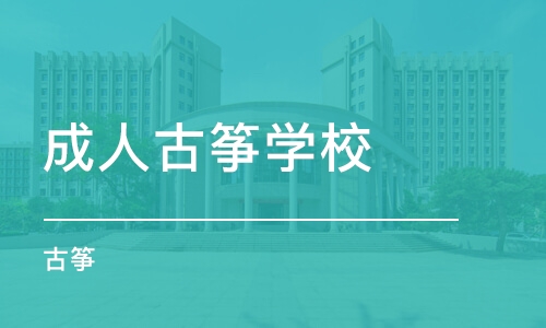 杭州成人古筝学校