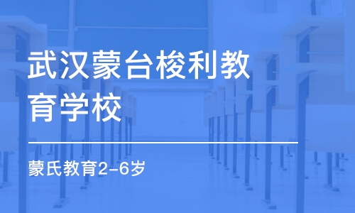 武汉蒙台梭利教育学校