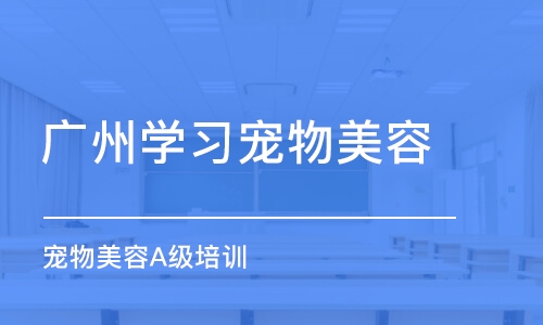 广州学习宠物美容