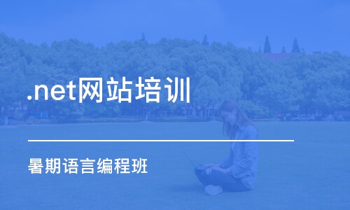 哈尔滨.net网站培训