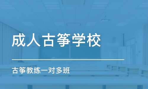 西安成人古筝学校