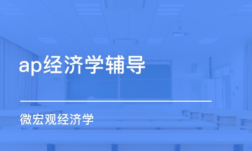 合肥ap经济学辅导