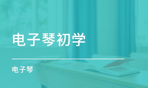 平顶山电子琴初学