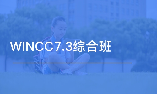 WINCC7.3综合班