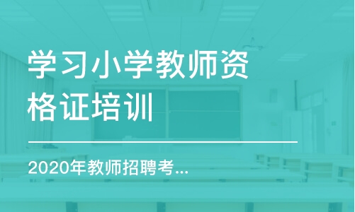 烟台学习小学教师资格证培训班