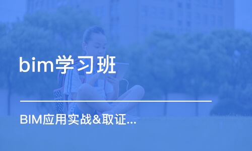 广州bim学习班