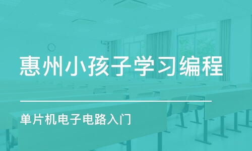 惠州小孩子学习编程