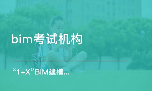 武汉bim考试机构