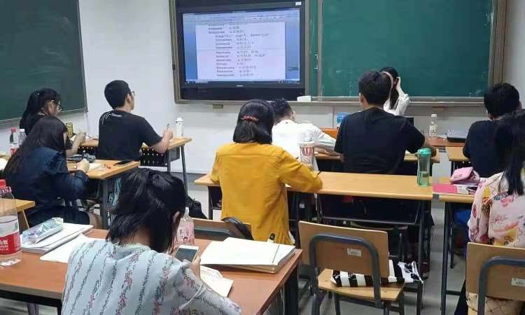 教学环境