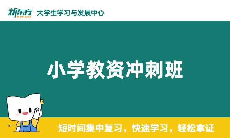 石家庄小学教师资格证培训机构