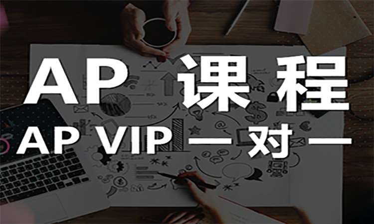 徐州AP VIP一对一课程