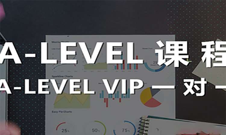 杭州A-LEVEL VIP一对一课程