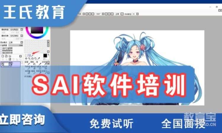 郑州王氏·sai软件培训