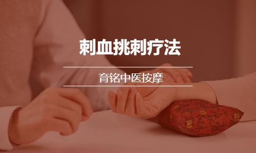 石家庄中医正骨培训班