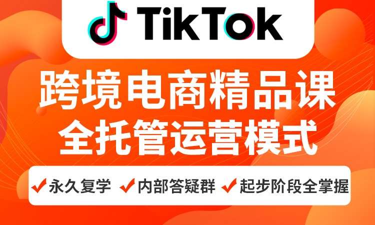 济南tiktok跨境电商全托管运营模式精品