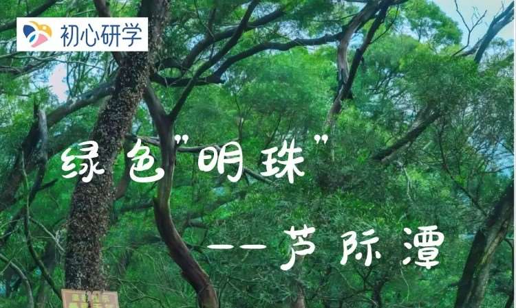 福州素质夏令营