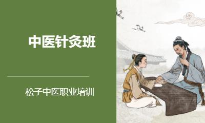 郑州中医针灸师培训