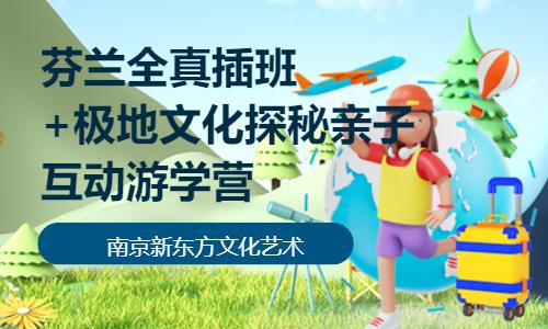 南京游学国际夏令营