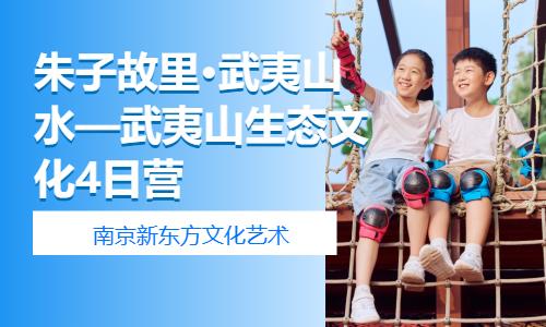 南京青少年素质夏令营