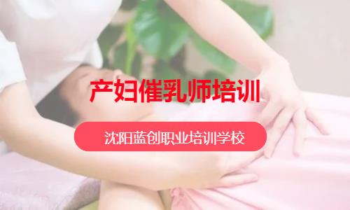 沈阳催乳师专业培训机构