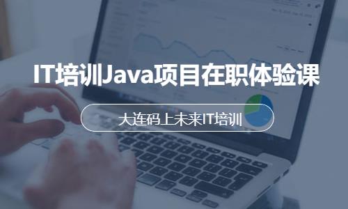 大连IT培训Java项目在职体验课