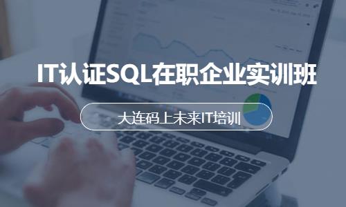 大连IT认证SQL在职企业实训班